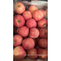 New Crop Fesh Apple Fresh FUJI Apple From China High Quality Whoesale Price